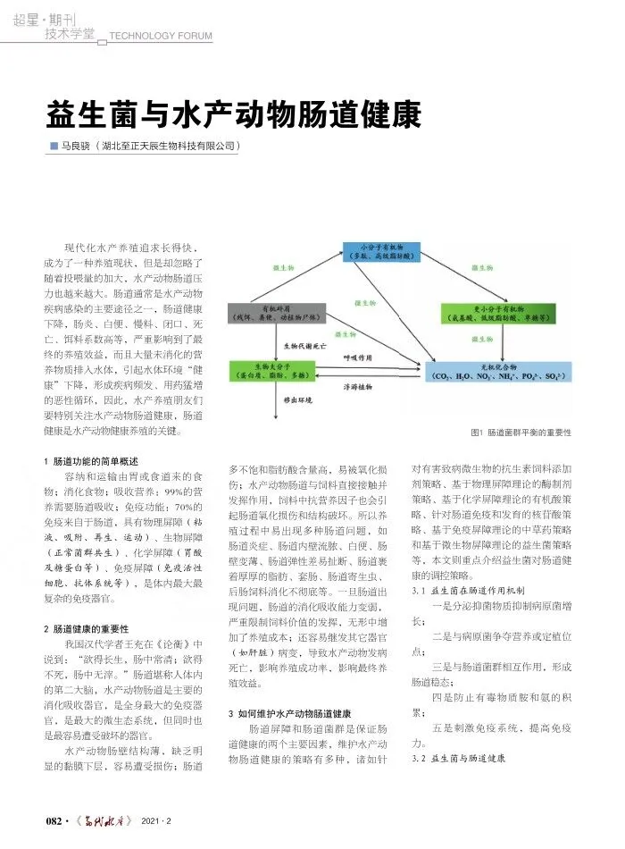 益生菌在水产养殖及动物肠道健康中的应用研究