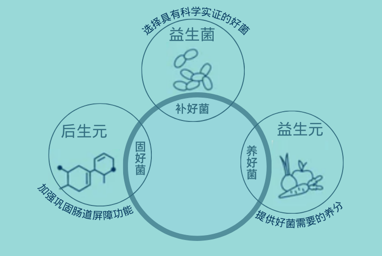 后生元对人体健康有哪些好处？