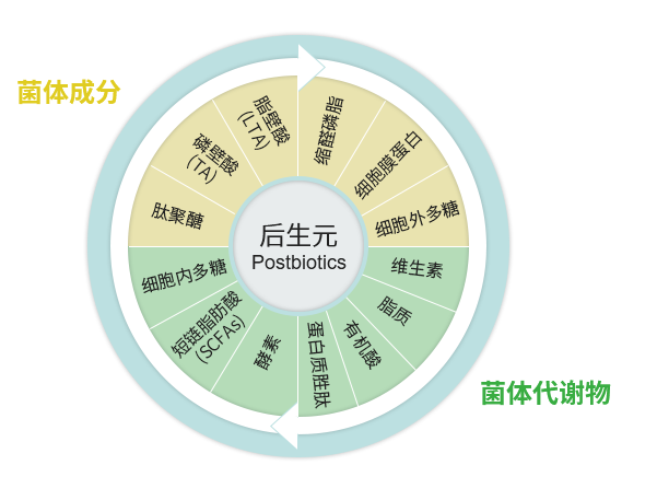 后生元、后生元是什么、什么是后生元、益生菌代谢产物