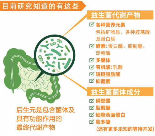 后生元，后生元是什么，后生元成本，益生菌代谢物