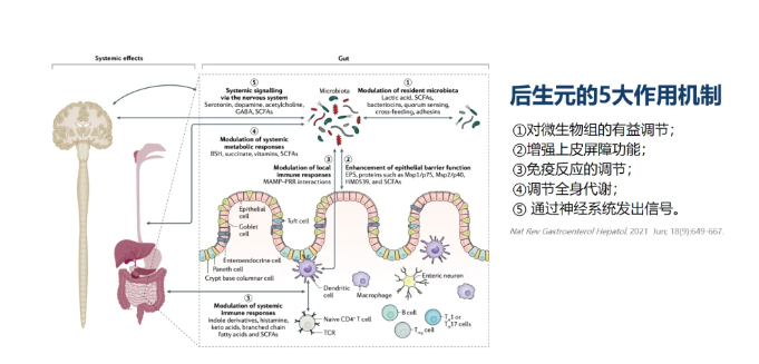 热心肠先生：34个研究读懂全球后生元产学研最新进展