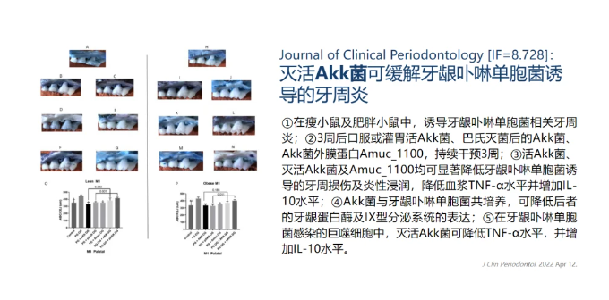 热心肠先生：34个研究读懂全球后生元产学研最新进展