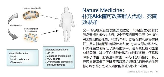 热心肠先生：34个研究读懂全球后生元产学研最新进展