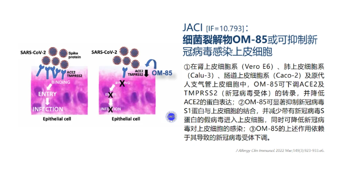 热心肠先生：34个研究读懂全球后生元产学研最新进展