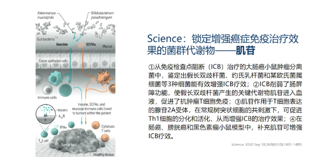 热心肠先生：34个研究读懂全球后生元产学研最新进展