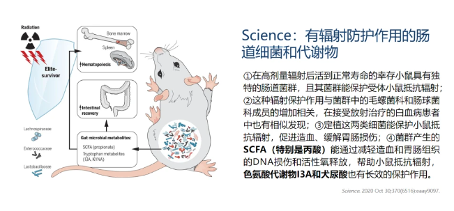 热心肠先生：34个研究读懂全球后生元产学研最新进展