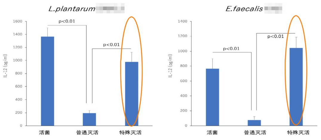 特殊灭活的益生菌菌株，可以保持伸直提高活菌时的活性健康价值