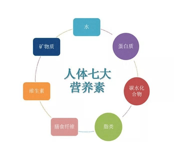 营养、营养素、人体七大营养素