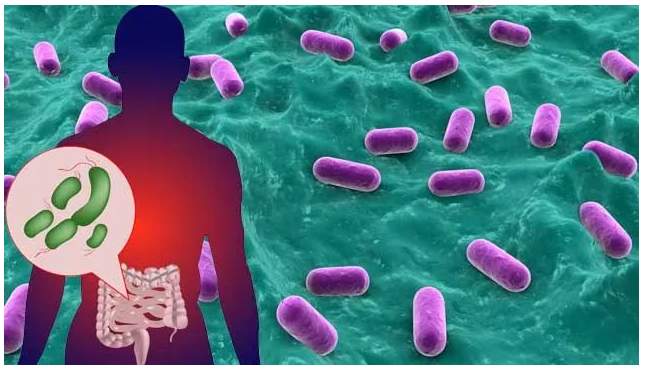 GUT：肠道菌群组成或会影响新冠的严重程度和免疫反应