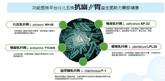 抗幽门螺旋杆菌的菌益生菌解决方案