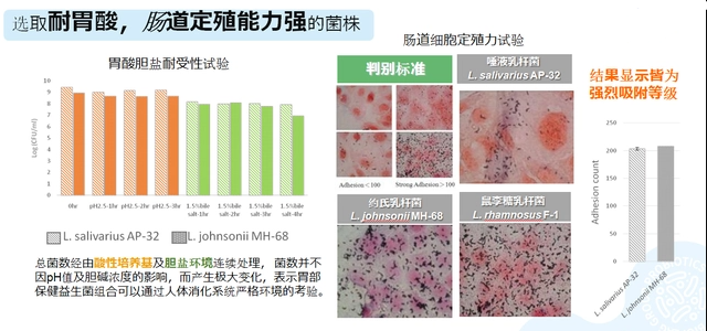 护胃抗幽门螺旋杆菌原料