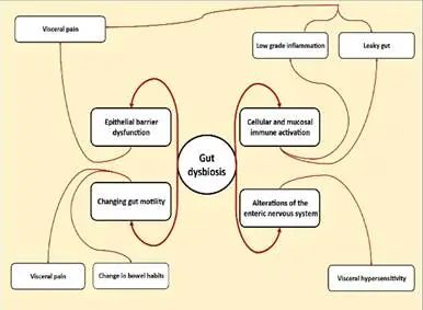 图1. 肠道微生物群失调在胃肠道疾病中的作用