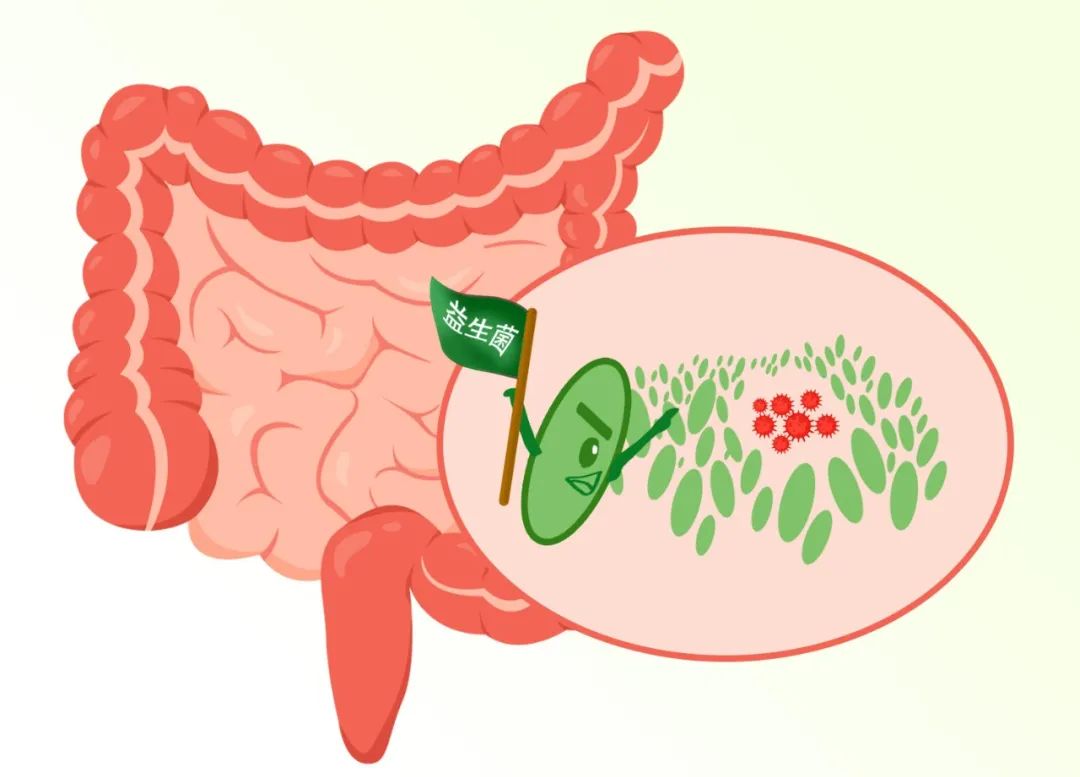 益生菌吃多久才能看见效果？