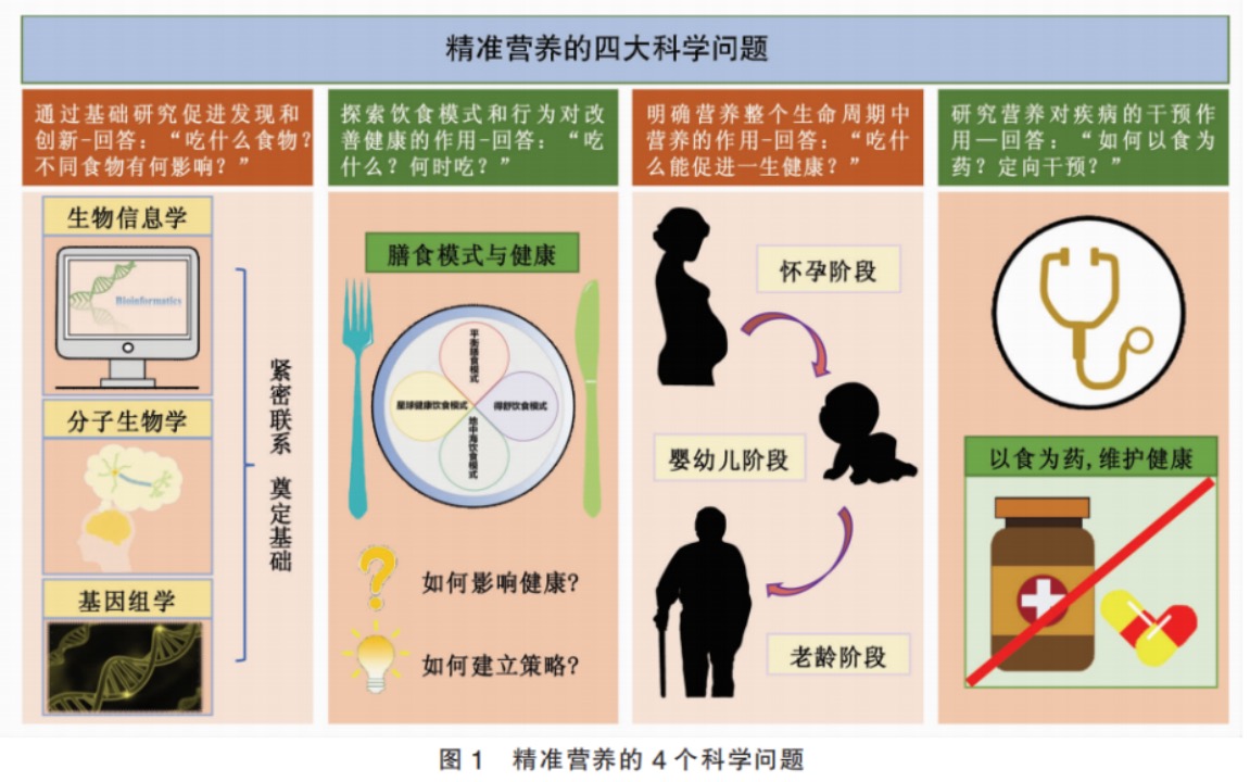 精准营养、靶向营养、靶向营养递送