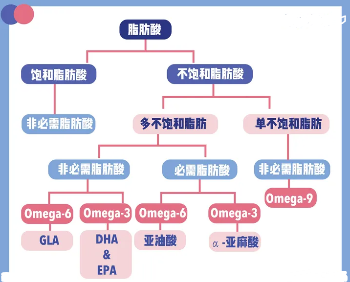 Omega-6脂肪酸