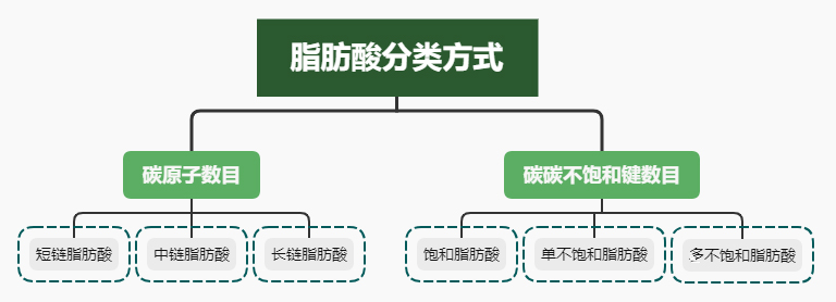 短链脂肪酸和长链脂肪酸区别