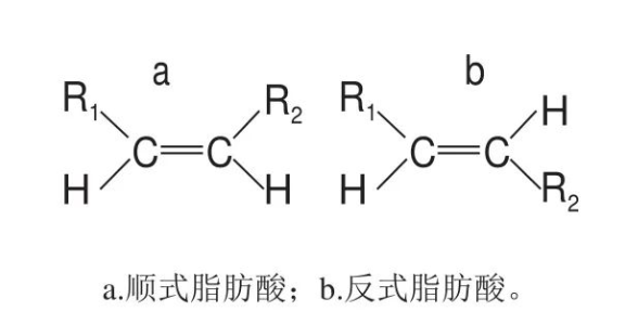 顺式脂肪酸与反式脂肪酸