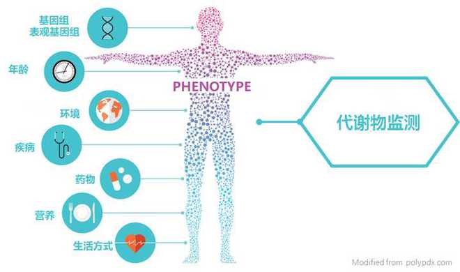 “精准营养”与个体化干预