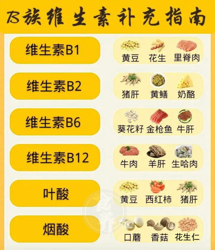 B族维生素补充指南（食补）