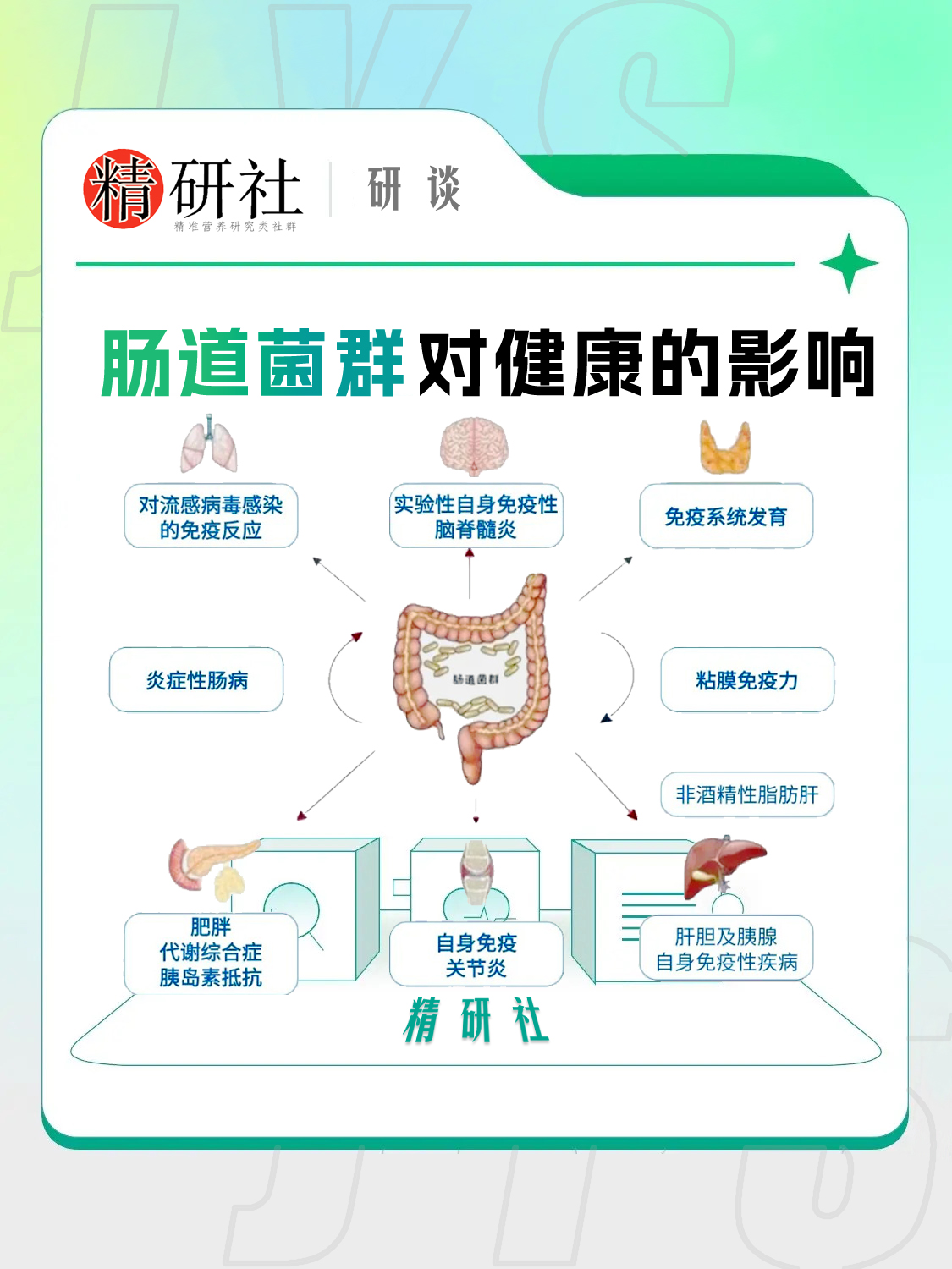 肠道菌群失衡、肠道菌群失调