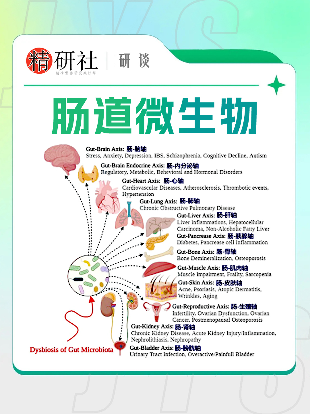 肠道微生物与儿童自闭症