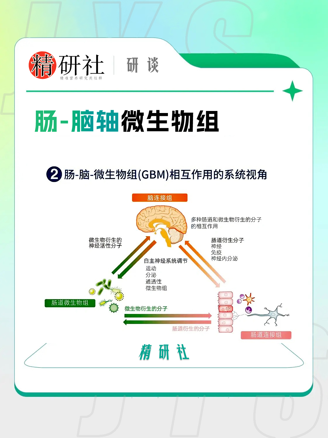 肠-脑轴:肠道菌群与大脑